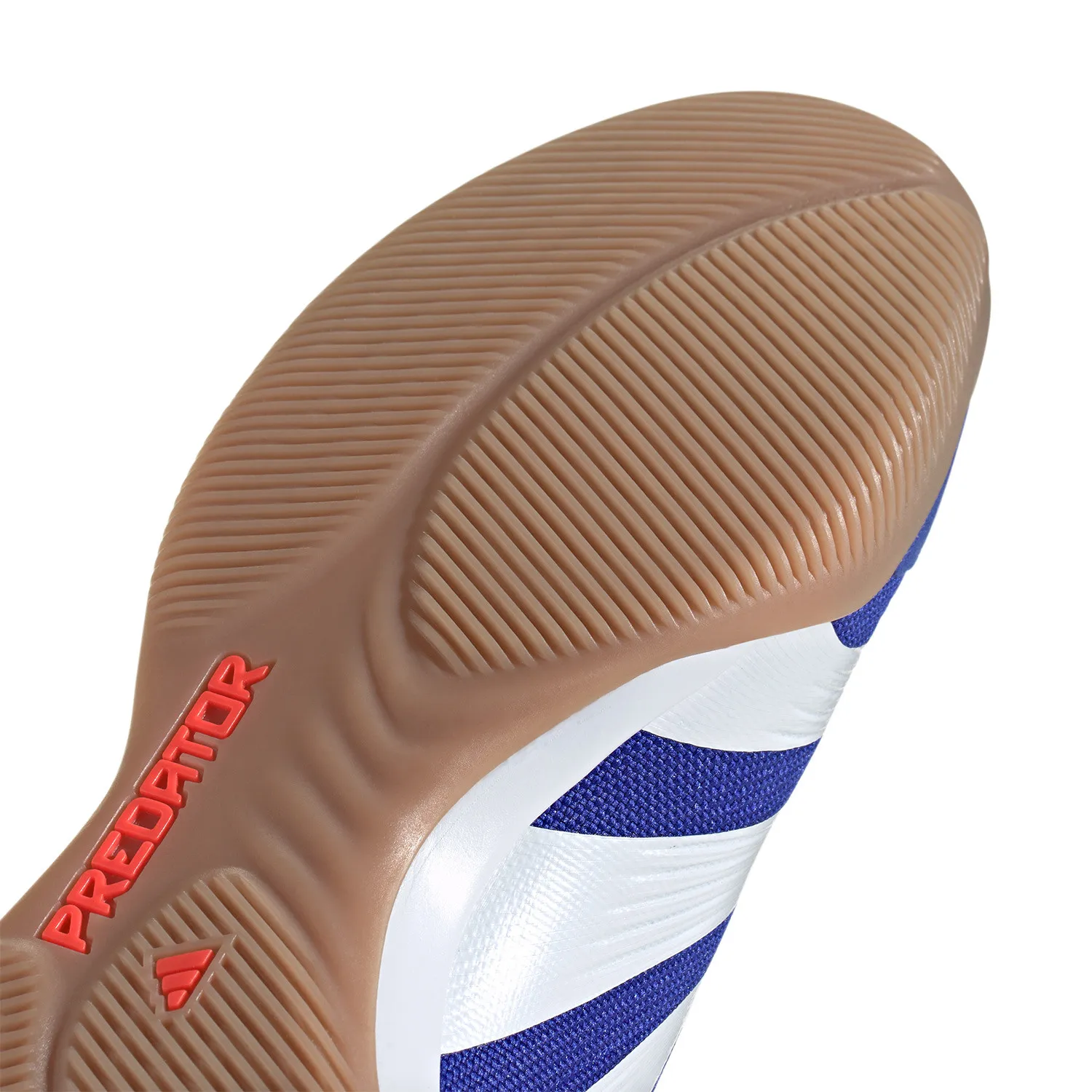 adidas Predator Elite IN