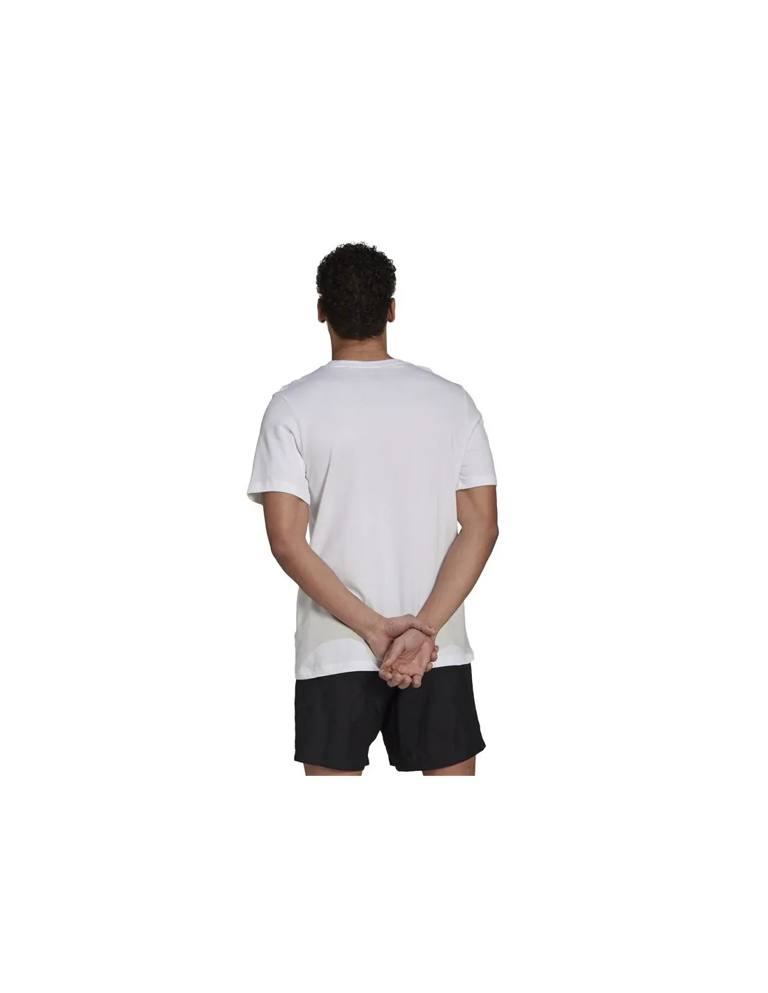 Camiseta adidas Essentials Gradient Logo
