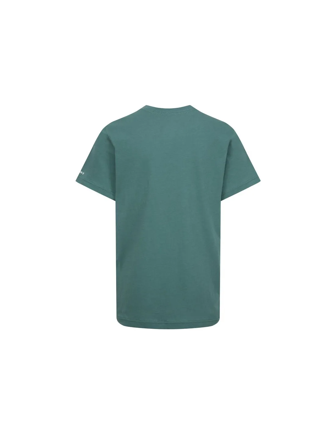Camiseta Converse Script Sneaker Gfx Sse Niño Verde