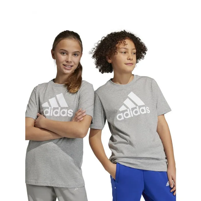 Remera Adidas Essentials Big Logo Kids